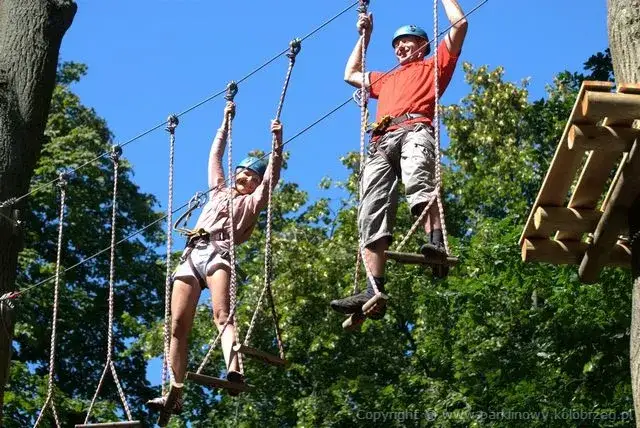 Park linowy Kołobrzeg: Adrenalina dla każdego? Cennik i trasy