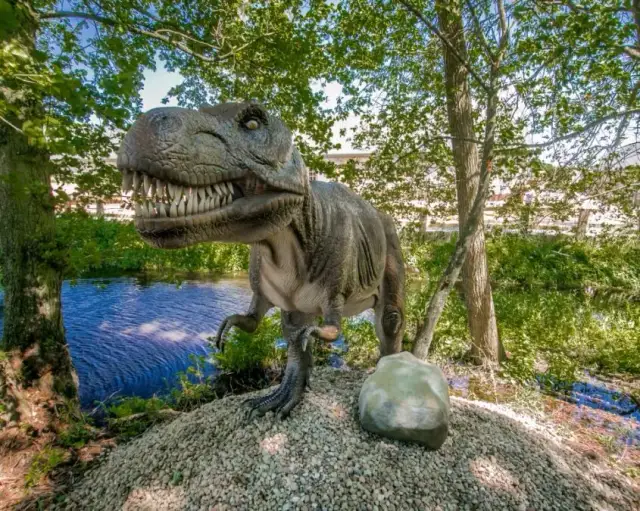 Co robić w Łebie jak pada? Odkryj ciekawe atrakcje na deszcz