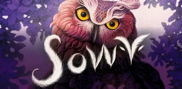 Sowy gra recenzja - czy warto zaryzykować grę w sówki?