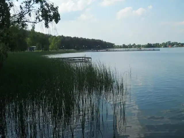 Lubelskie jeziora: Od kurortów po dzikie plaże gdzie na urlop?