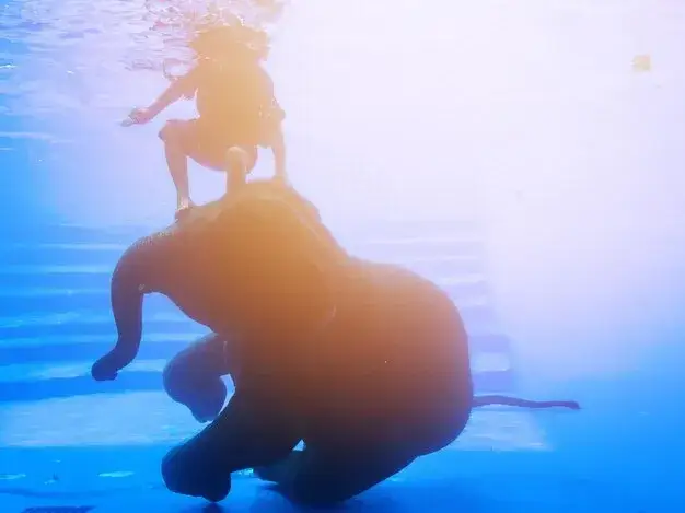 Jak basen wpływa na sylwetkę? Wyrzeźbij ciało i spal tłuszcz!