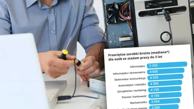 Pierwsza praca po studiach zarobki – co naprawdę możesz zarobić?