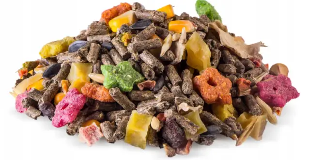 Jakie zboża dla królików? Odkryj, co zapewni im zdrowie i energię