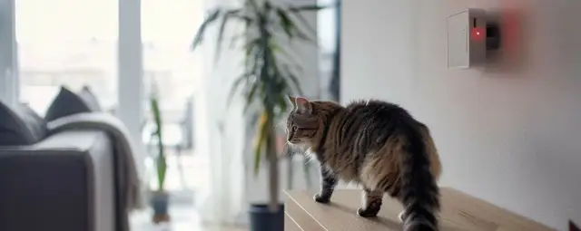 Co może uruchomić alarm w domu? Unikaj fałszywych alarmów i zagrożeń