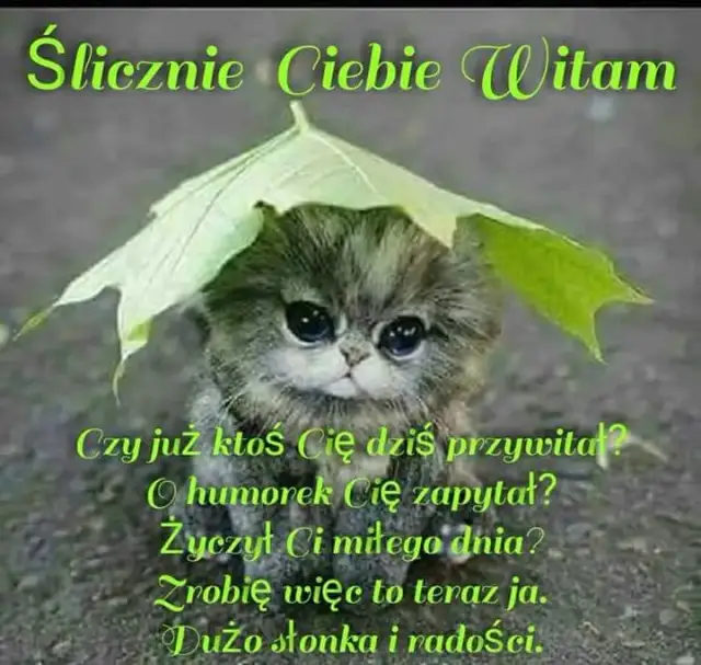 Najlepsze memy miłego dnia, które rozbawią i poprawią humor