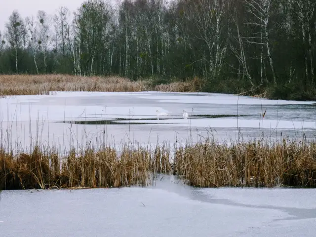 Jezioro Świdwie: Odkryj niezwykłe bogactwo przyrody i atrakcje