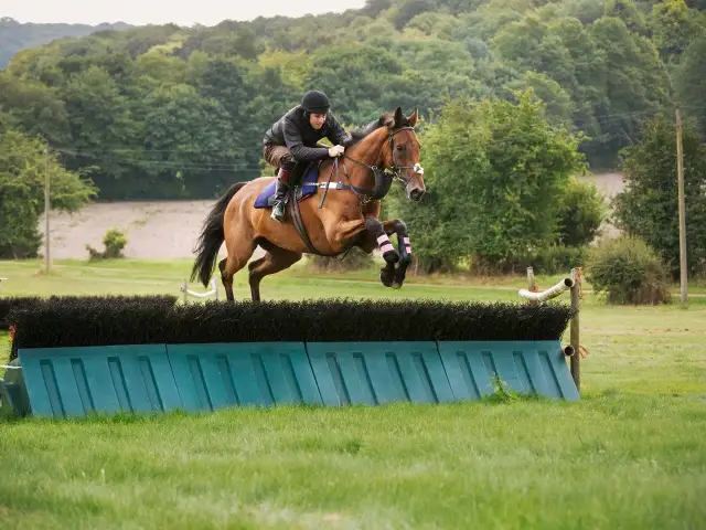 Bluza do jazdy konnej: Jak się nazywa i którą wybrać?