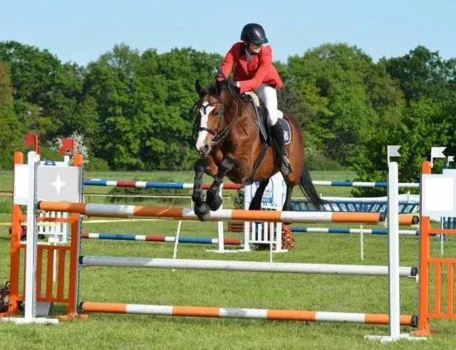 Stadnina koni Trójka - wyjątkowe lekcje jazdy i hipoterapia w Rychwałach