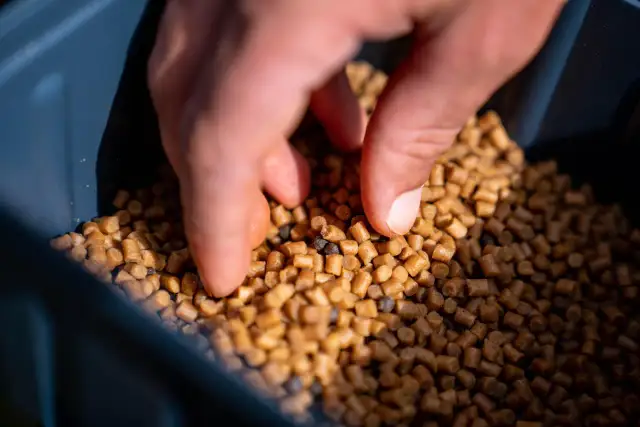 Dłoń miesza pellet wędkarski w pojemniku. To kluczowy etap, jak zrobić pellet wędkarski, by był idealny na łowisko.