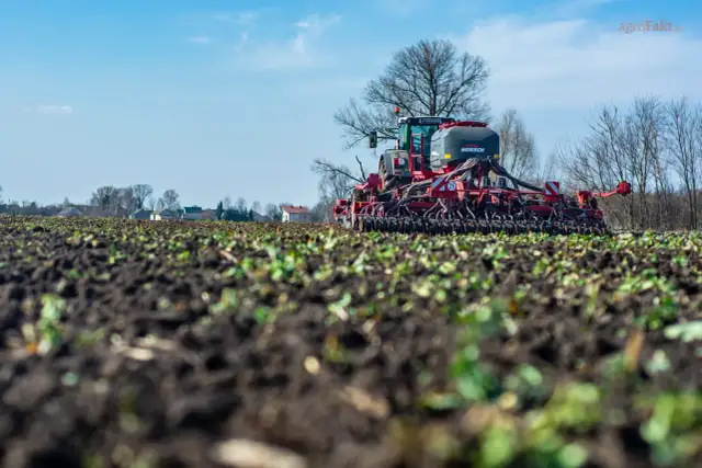 Nawóz bezchlorkowy: Klucz do lepszych plonów i zdrowej gleby