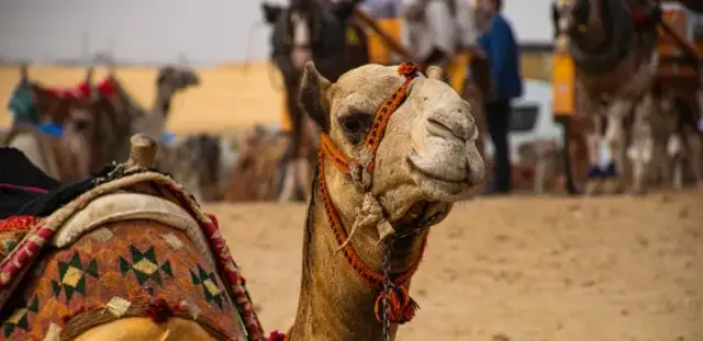 Hurghada czy jest bezpiecznie? Poznaj prawdę o bezpieczeństwie turystów