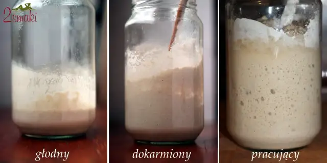Zakwas chlebowy po miesiącu w lodówce? Obudź go w 3 dni!