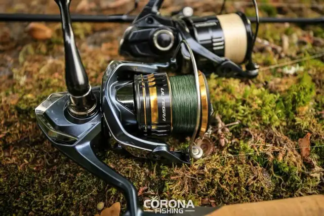 Kołowrotek na szczupaka: Jaki wybrać? Poradnik i modele