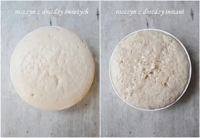 Jakie drożdże do pizzy? Świeże vs suche idealne ciasto!