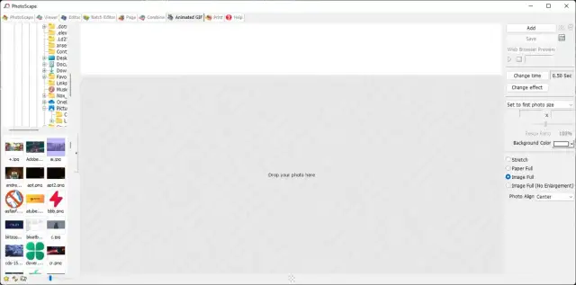 PhotoScape po polsku - Jak ustawić język i którą wersję wybrać?