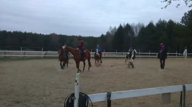 Stadnina koni Białystok: najlepsze miejsca na jazdę i hipoterapię