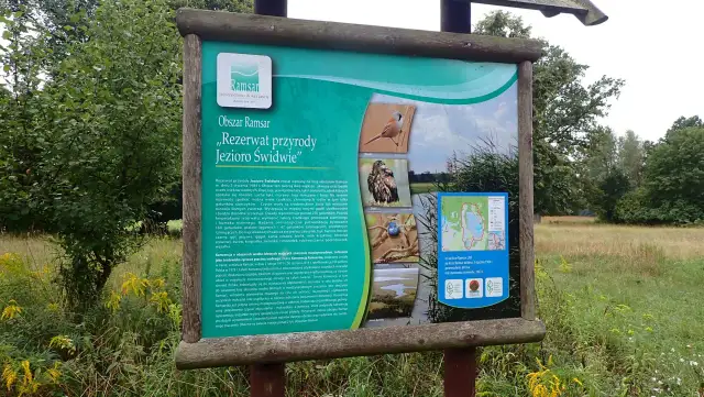 Jezioro Świdwie: Odkryj unikalne bogactwo przyrody i atrakcje