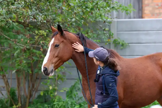 Kobieta w czapce z daszkiem głaszcze brązowego konia.