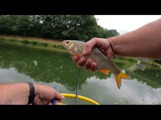 Jak wygruntować spławik, aby uniknąć błędów i złowić więcej ryb