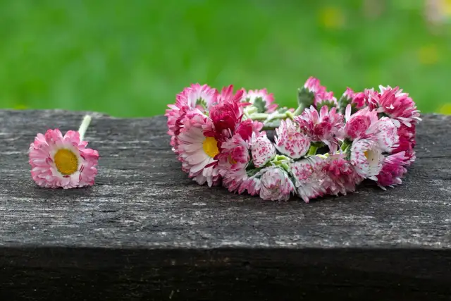Jak zrobić wiązankę na cmentarz? Osobisty akcent i oszczędność