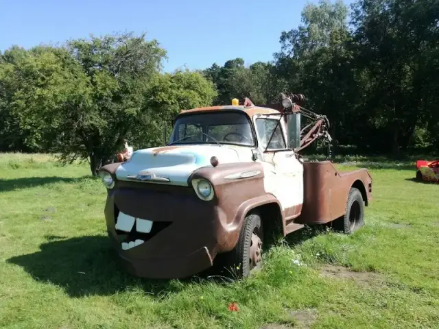 Najlepsze atrakcje w Zalesiu Górnym, które zachwycą całą rodzinę