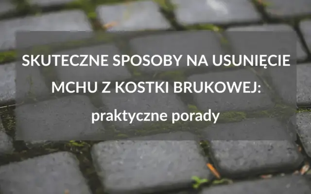Skuteczne metody czyszczenia kostki brukowej z mchu, które działają