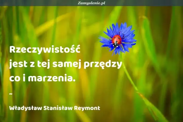 Spełniaj marzenia - cytaty, które dają realny impuls do działania