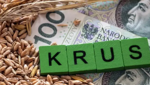 Ile wynosi emerytura rolnicza netto? Sprawdź, co musisz wiedzieć