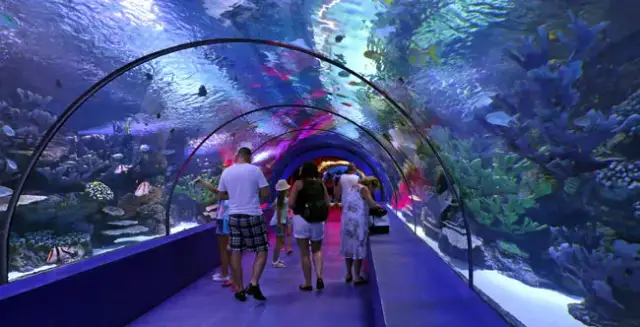 Olsztyn nie ma oceanarium – poznaj najbliższe atrakcje w Gdyni