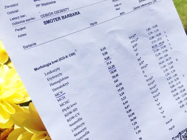 Badania krwi: Klucz do zdrowia? Zrozum swoje wyniki!
