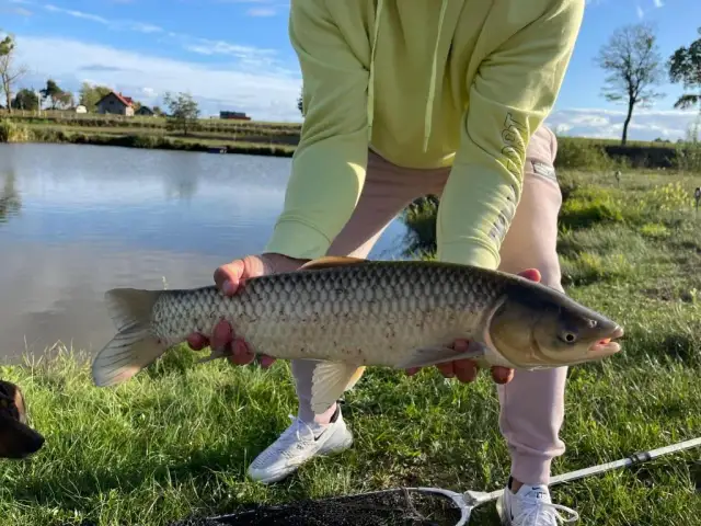 Jezioro Pauzeńskie: raj dla wędkarzy i rodzin z dziećmi