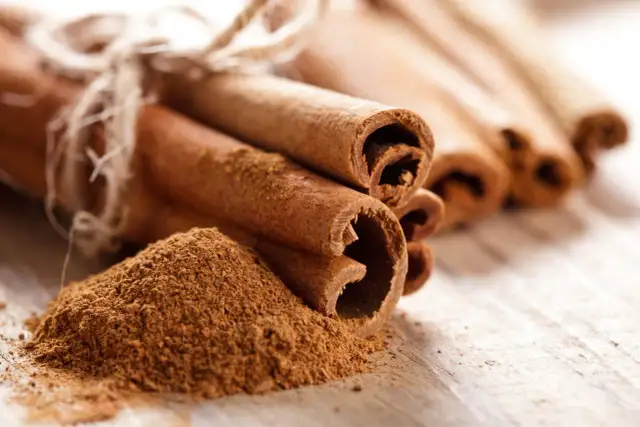 Cynamon na ślimaki: Czy to Twoja tajna broń w ogrodzie?