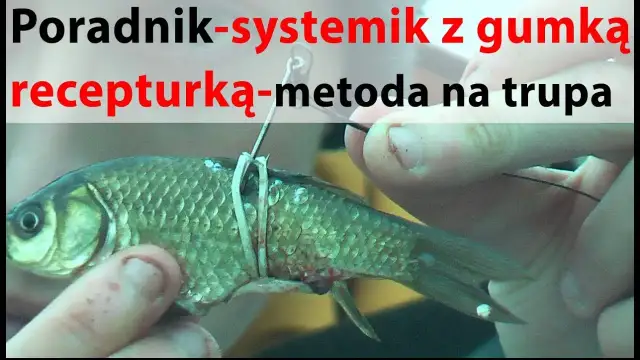 Skuteczne metody zbrojenia trupka na sandacza, które przyciągają ryby