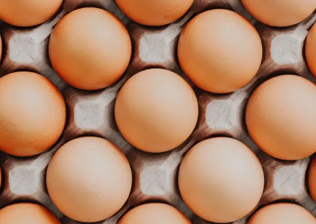 Pies i jajko na twardo: Superfood czy zagrożenie? Sprawdź!