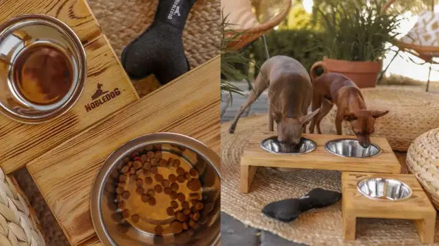 Na jakiej wysokości miska dla psa, aby uniknąć problemów zdrowotnych?