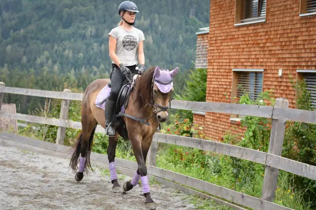 Czy jeżdżąc konno można schudnąć? Odkryj prawdę o odchudzaniu