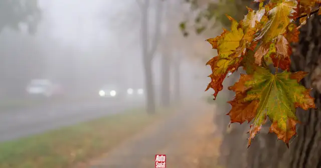 Wymień wycieraczki w aucie: Krok po kroku do idealnej widoczności