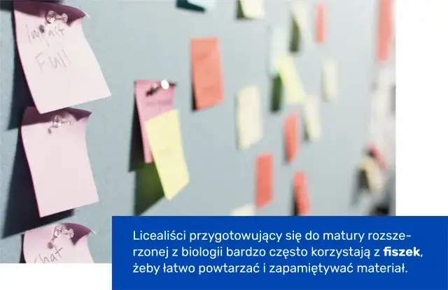 Ile punktów na maturze z biologii i jak je skutecznie zdobyć