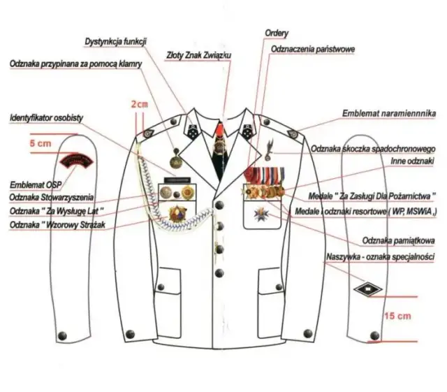 Wzory umundurowania WP: aktualne zasady i zmiany w regulaminie