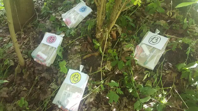 Jak stworzyć wciągający scenariusz gry terenowej: 5 kluczowych kroków