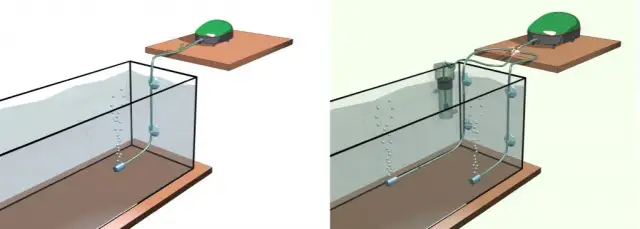 Jak napowietrzać akwarium, aby uniknąć problemów z rybami i roślinami