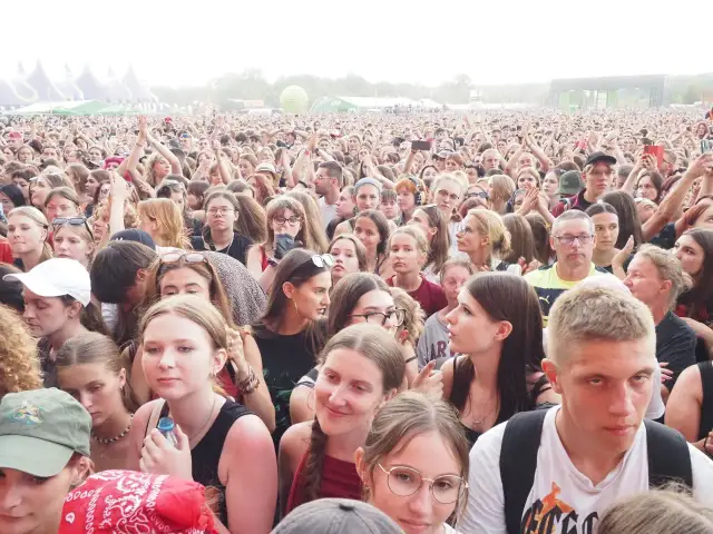 Tłum ludzi na lodz summer festival, z rękami w górze, cieszący się muzyką.