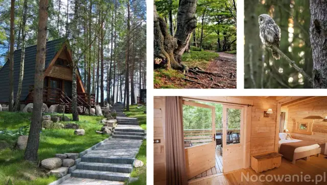 Podlasie: Domek nad jeziorem? Znajdź idealny wypoczynek!