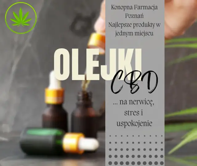 Co to są olejki CBD? Poznaj ich właściwości i zastosowanie w zdrowiu