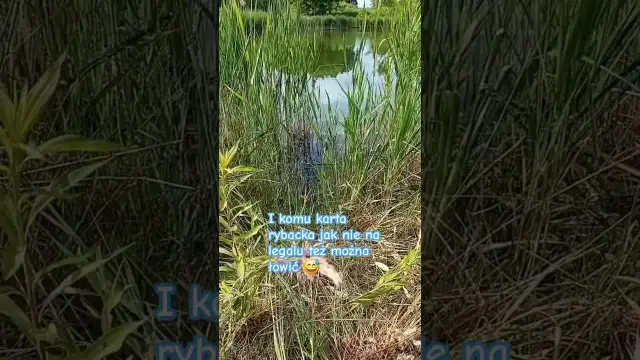 Gdzie na ryby bez karty Radom? Odkryj łowiska bez licencji