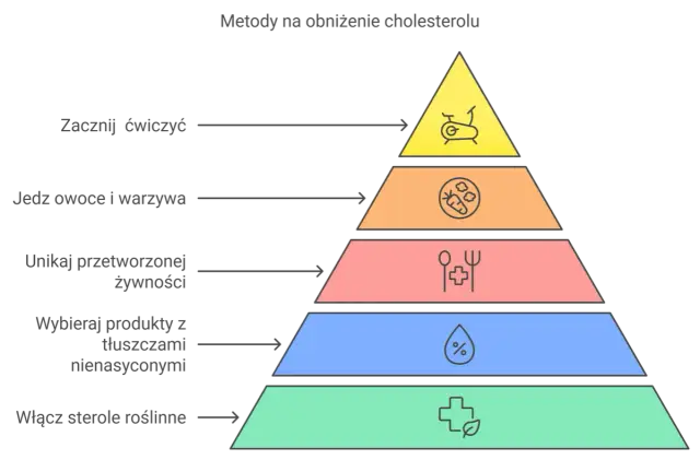 Cholesterol: prawda i mity. Jak obniżyć LDL i chronić swoje serce?