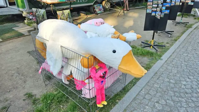 Skąd moda na pluszowe gęsi? Historia Pipy, która podbiła TikToka