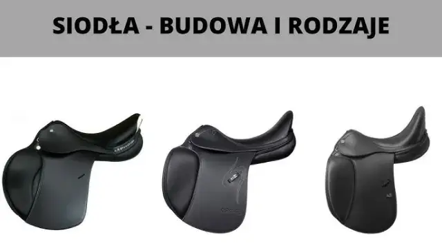 Jak wygląda siodło? Odkryj jego elementy i różnorodność typów