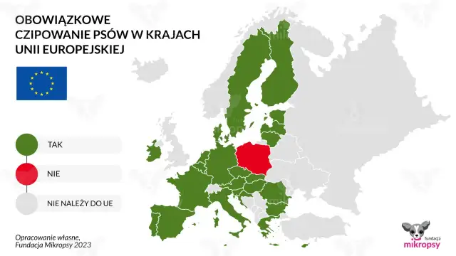 Czipowanie psa: Po co, jak działa i co z nowym prawem od 2026?