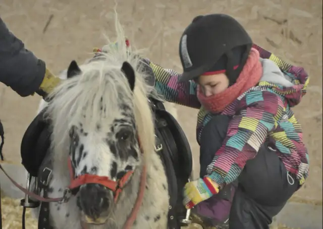 Najlepsze stadniny koni w Warszawie – jazda konna i oferta dla każdego